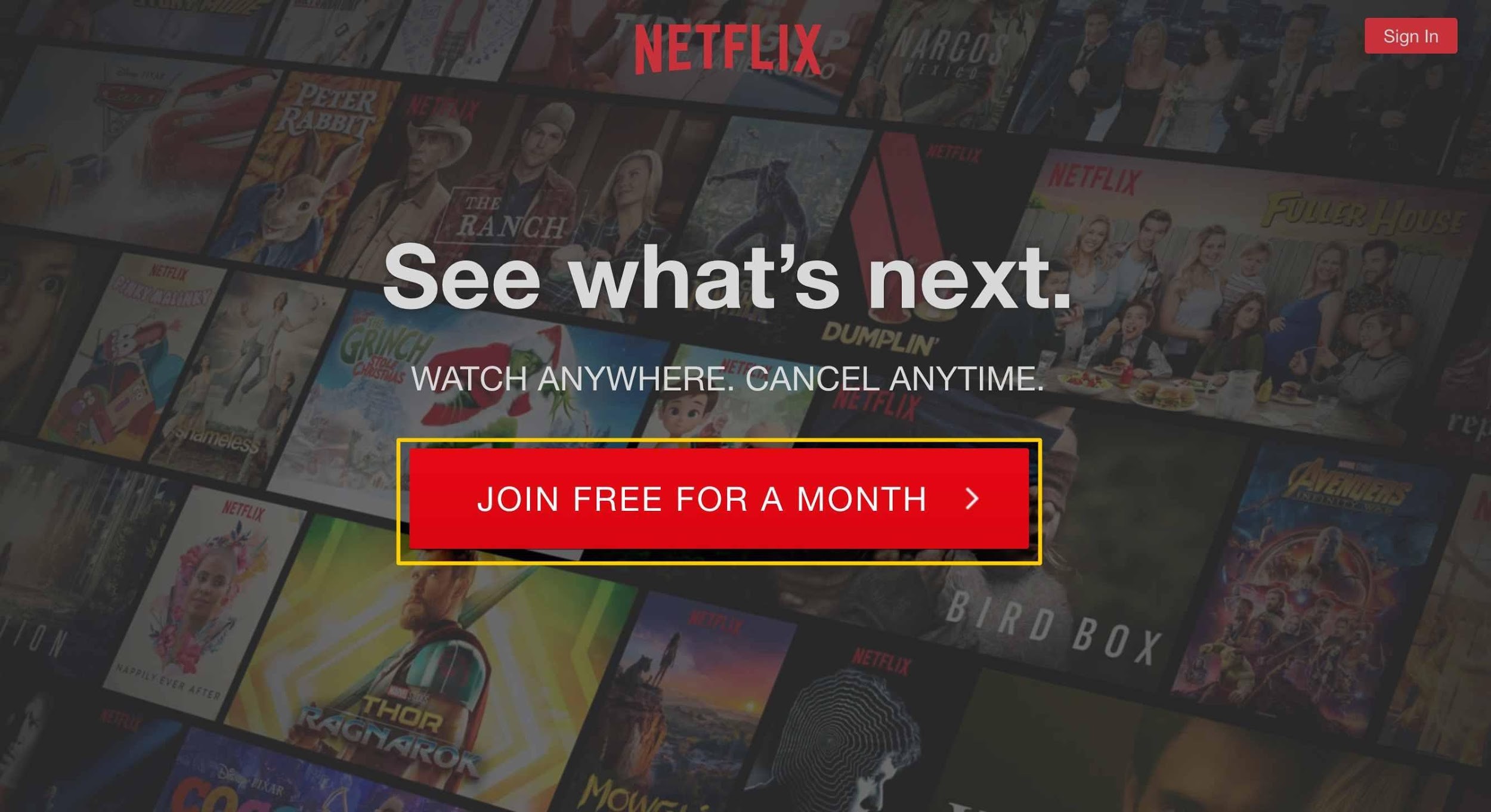 How To Watch American Netflix In Canada Free 03