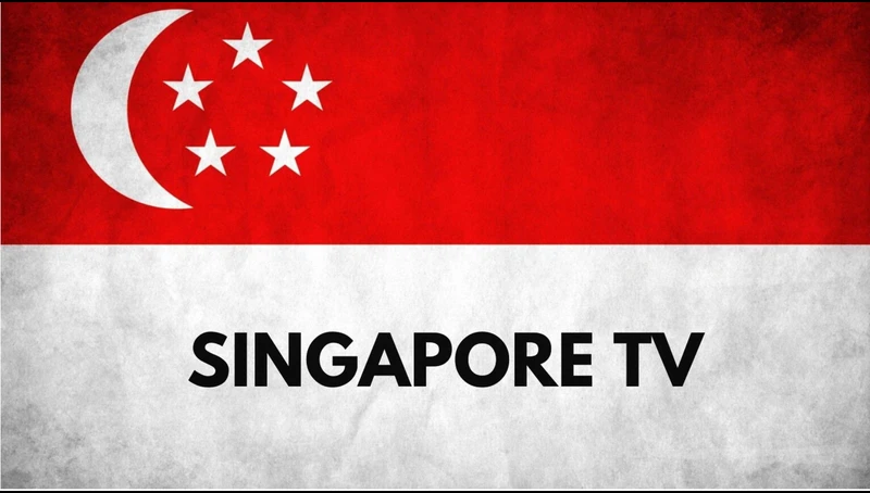 image related to singapore flag