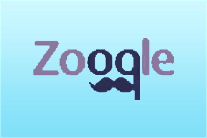 image related to Zooqle